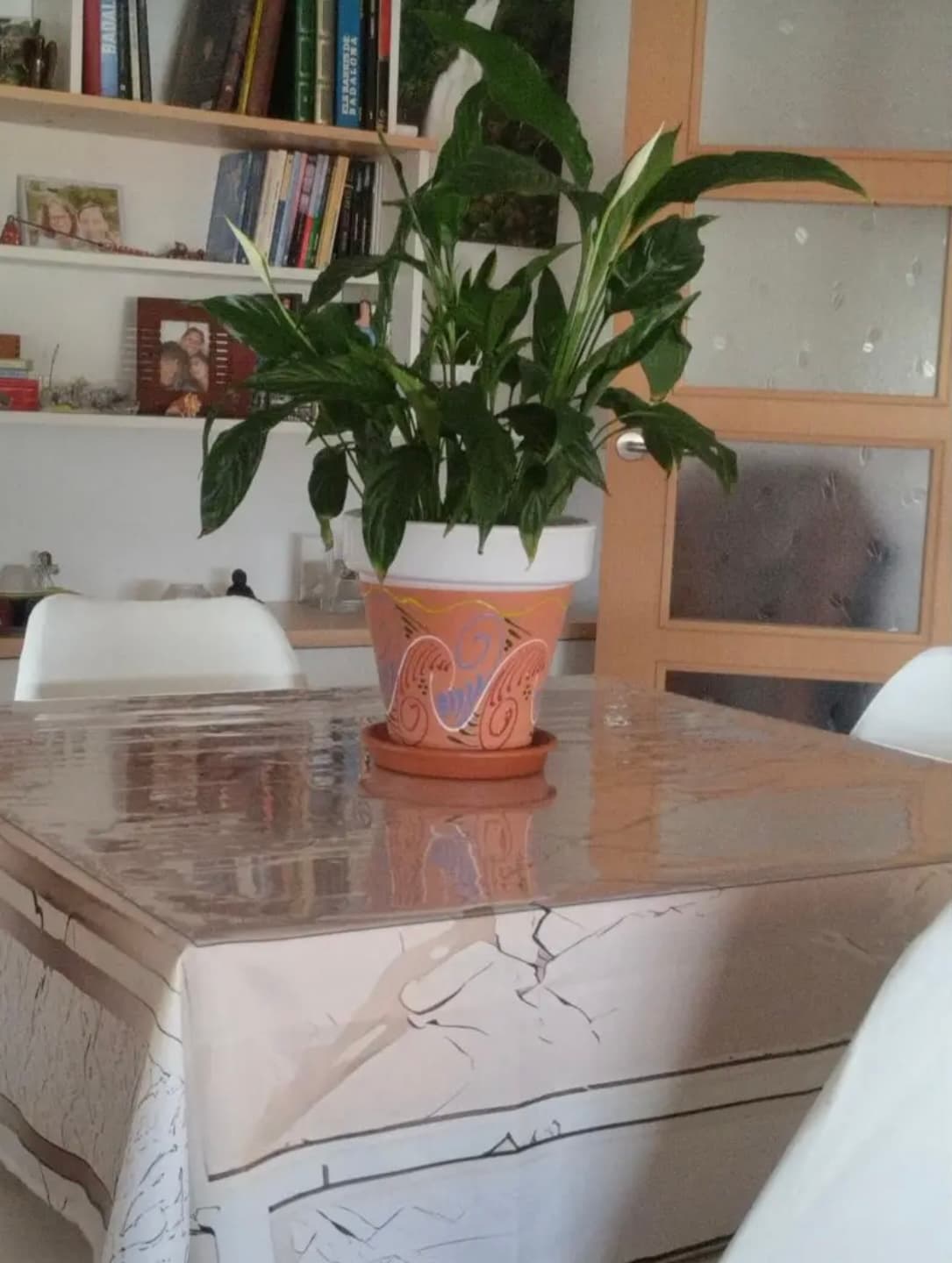 Jarrón con planta verde sobre la mesa; la estera cubre el mantel, en el fondo una librería